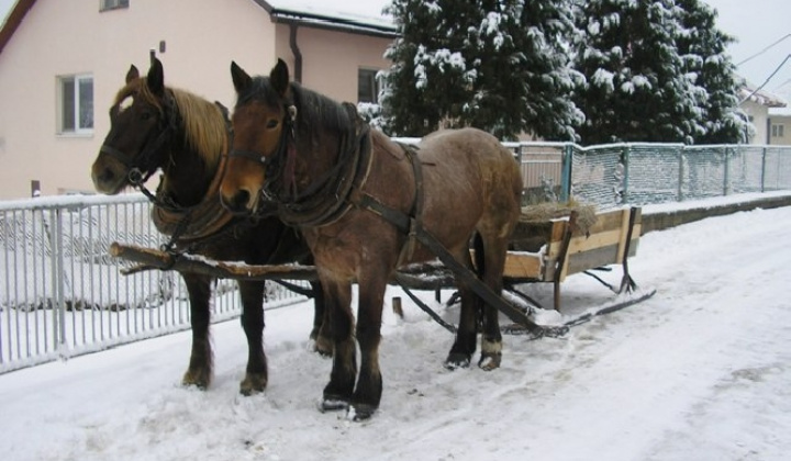 5. fotografia fotogalérie Volica v zime