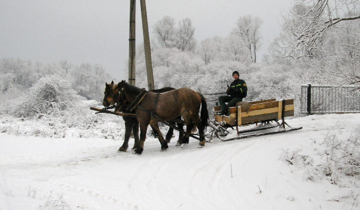 14. fotografia fotogalérie Volica v zime