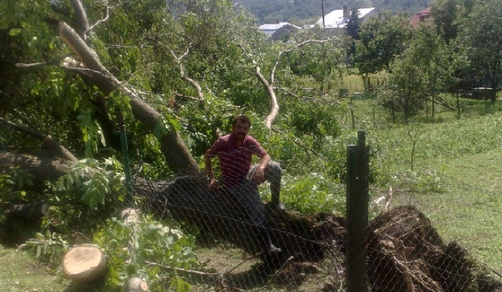 1. fotografia fotogalérie Veterná smršť 2008