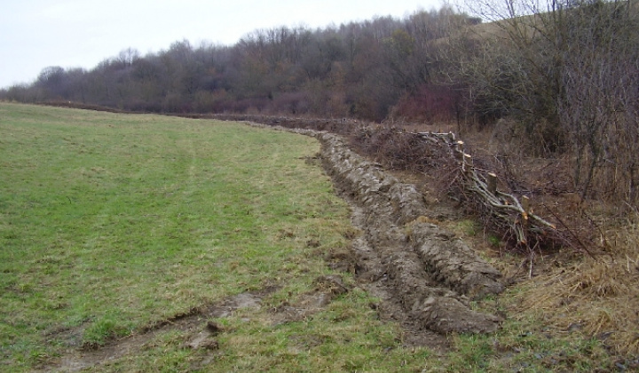 1. fotografia fotogalérie Volica 2011