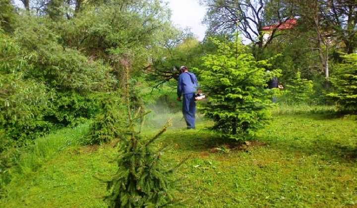 2. fotografia fotogalérie Aktivačné práce 2014