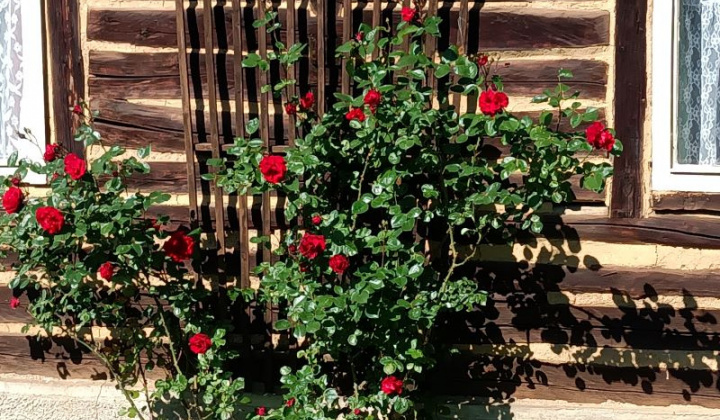 Fotka - Krásy v našej obci