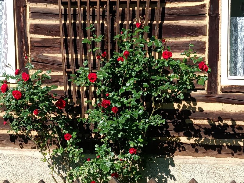 Fotka - Krásy v našej obci